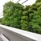 【東京都/世田谷区深沢】世田谷区深沢六丁目　中古戸建 眺望
