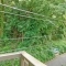 【神奈川県/川崎市多摩区生田】多摩区生田5丁目　戸建 眺望