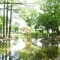 【東京都/小平市喜平町】小平市喜平町1丁目新築戸建　全2棟　1号棟 つつじ公園