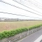 【東京都/江戸川区興宮町】江戸川区興宮町新築戸建て2号棟 バルコニー