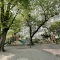 【東京都/北区田端新町】コスモ田端ロイヤルフォルム 荒川区立西...
