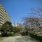 【神奈川県/横浜市西区平沼】パークハイツ横浜 敷地内