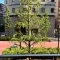 【東京都/新宿区新宿】エクセレント新宿文化センター通り 眺望