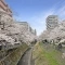 【東京都/多摩市鶴牧】ミオカステーロ多摩センター 乞田川の河...