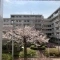 【神奈川県/鎌倉市台】コープ野村鎌倉台　 1号棟 眺望