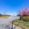 【東京都/江東区古石場】マイキャッスル門前仲町古石場 ウエスト 木場公園 