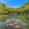 【東京都/港区白金】グランドメゾン白金・三光坂 八芳園