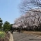 【東京都/渋谷区富ヶ谷】オーベル代々木公園 代々木公園