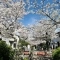 【東京都/世田谷区代田】プラウド世田谷代田 北沢川緑道