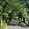 【東京都/世田谷区桜丘】グラーサ経堂桜丘 千歳通り並...