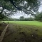 【埼玉県/蕨市塚越】グリーンライフ蕨市民公園 蕨市民公園