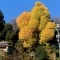 【東京都/新宿区西早稲田】べリスタ早稲田 神田川