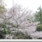 【神奈川県/横浜市戸塚区前田町】グランドメゾン東戸塚 2番館 眺望