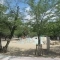 【大阪府/吹田市江の木町】グリーンコーポ江坂第三 江坂公園