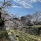 【兵庫県/西宮市神園町】夙川苦楽園口レジデンス 夙川公園