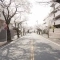 【神奈川県/横浜市青葉区桜台】青葉台ヒルズ 前面道路