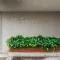 【東京都/目黒区下目黒】ニュー目黒フラワーマンション 表札