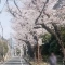 【東京都/板橋区成増】ソライエ成増 前面道路