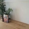 【東京都/葛飾区小菅】コープ野村綾瀬 DK