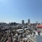 【東京都/新宿区富久町】ピアース四谷 眺望
