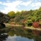 【東京都/文京区小石川】リビオレゾン小石川 小石川植物...