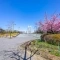 【東京都/江東区白河】パークハウス清澄白河タワー 木場公園