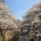 【東京都/目黒区青葉台】ソプラタワー 目黒川