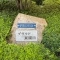 【兵庫県/尼崎市東園田町】プラウド東園田 表札