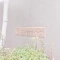 【千葉県/船橋市本町】船橋シティハイツ B棟 表札