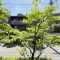 【東京都/品川区上大崎】グランヴェール長者丸 眺望