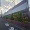【東京都/渋谷区東】常磐松サマリヤマンション 外観