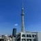 【東京都/墨田区向島】朝日言問マンション 眺望
