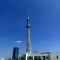 【東京都/墨田区向島】朝日言問マンション 眺望