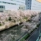 【東京都/目黒区下目黒】パークナード目黒 エントランス