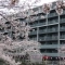 【東京都/目黒区下目黒】パークナード目黒 外観