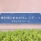 【東京都/目黒区中根】秀和第二自由が丘レジデンス 表札