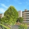 【東京都/三鷹市下連雀】三鷹芙蓉ハイツ 眺望