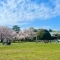 【東京都/小金井市梶野町】ナイスアーバン小金井公園 都立小金井...