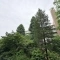 【東京都/中野区白鷺】白鷺ハイム 4号棟 眺望