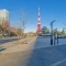 【東京都/港区芝】パークタワー芝公園 東京タワー