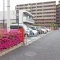 【埼玉県/草加市谷塚】レクセルプラザ谷塚 駐車場