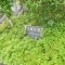 【神奈川県/川崎市宮前区馬絹】宮崎台南パーク・ホームズ 2番館 表札