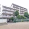 【神奈川県/川崎市多摩区登戸】サニーハイツ向ケ丘 外観