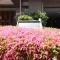 【神奈川県/横浜市港北区新吉田東】グランイーグル綱島 表札