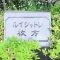 【大阪府/枚方市西田宮町】ルイシャトレ枚方 表札