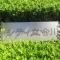 【東京都/品川区南大井】京急シティ立会川 表札