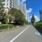 【東京都/新宿区百人町】西戸山タワーホウムズサウスタワー 前面道路