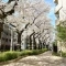 【東京都/北区王子】ザ・ガーデンズ東京王子ブルームコート サクラブロ...