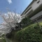 【京都府/京都市伏見区紙子屋町】イニシア伏見丹波橋 外観