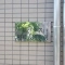 【神奈川県/大和市桜森】レックス相模大塚駅前 表札